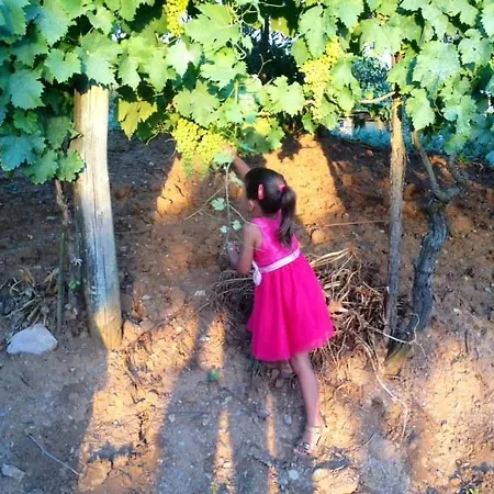 Podere Del Buongustaio Montegabbione