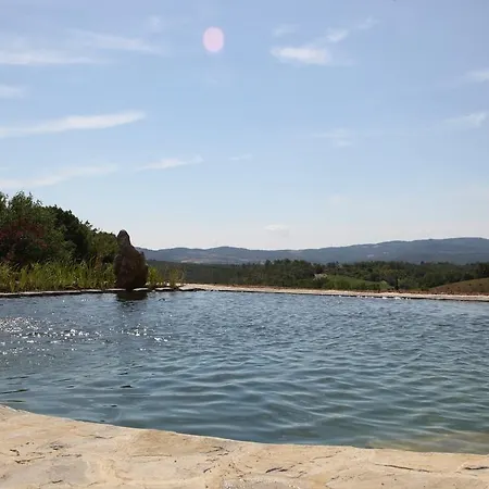 Podere Del Buongustaio Bed & Breakfast