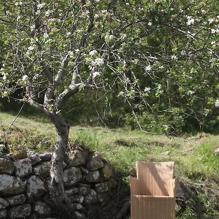 Podere Del Buongustaio B&B 3*