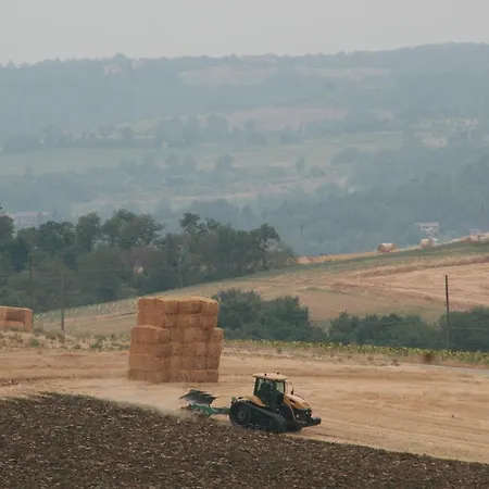 Oda ve Kahvaltı Podere Del Buongustaio Montegabbione